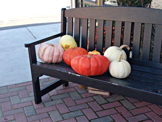 Autumn pumpkin display outside the restaurant.