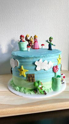 Mario & Luigi birthday cake