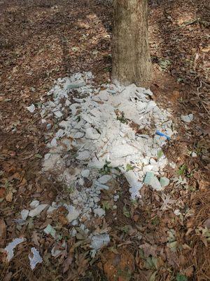 The cement that was dumped in the middle of my yard behind a tree on an incline so that I wouldn't see it when looking out from my house.