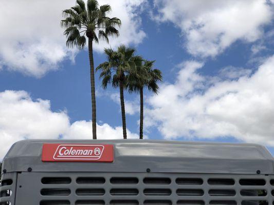 Coleman Condenser Unit installed amongst the beautiful cool blue skies and palm trees.