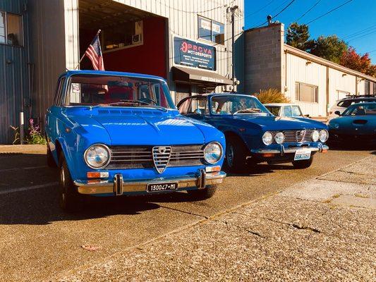 ALFA ROMEO Specialists