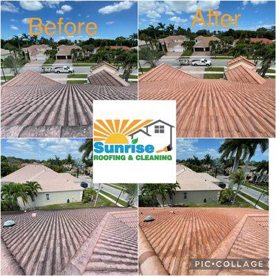 Roof cleaning softwash