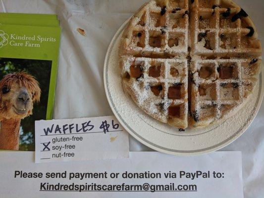 vegan kindred spirits care farm fundraiser:chocolate chip waffle with syrup powdered sugar