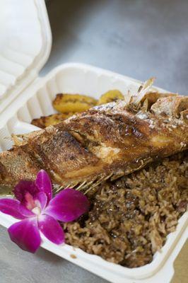 Naked fried fish snapper