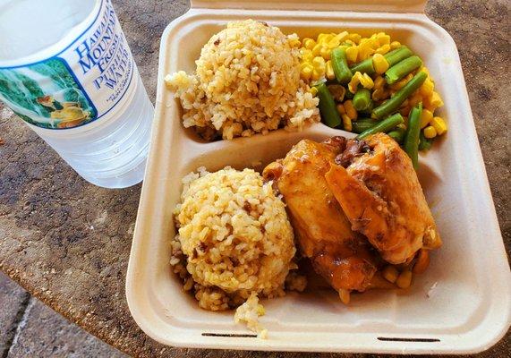 Shoyu Chicken plate with Brown Rice & Steamed Vegetables. Also bought a bottle of water.