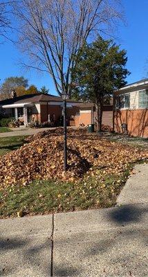 Fall Clean-up 2022. If you need help with tree trimming or yard work - give us a shout :)