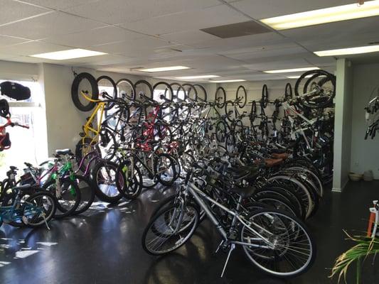 Bikes on showroom floor