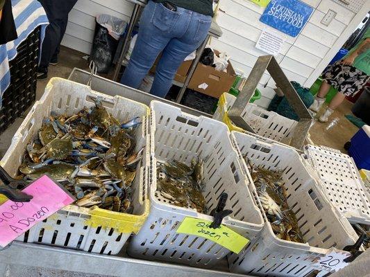 Blue Crabs. (Easter prices) High demand.