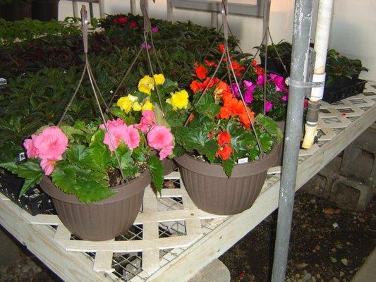 2/$30 hanging baskets