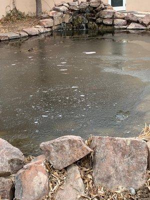 Behind the bldg is this great little water fall, and to the right us a mapped garden