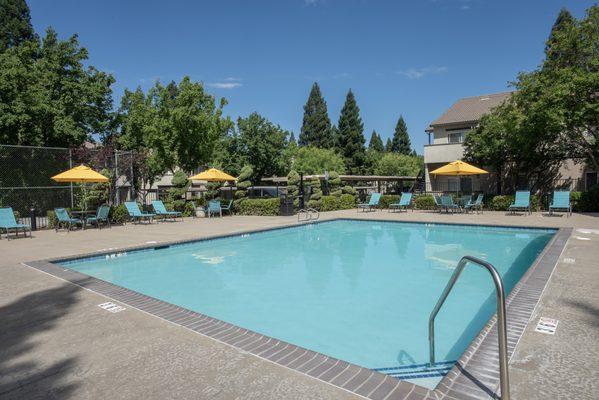 StanfordHeights_Rocklin_CA_SwimmingPool1