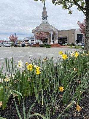 Beautiful flowers and gazebo