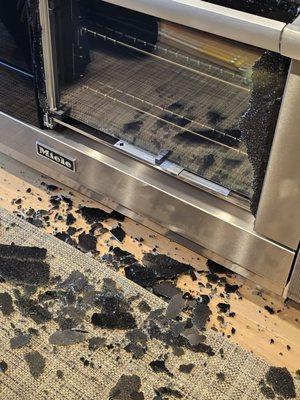 EXPLODED Miele Range Door in large shards