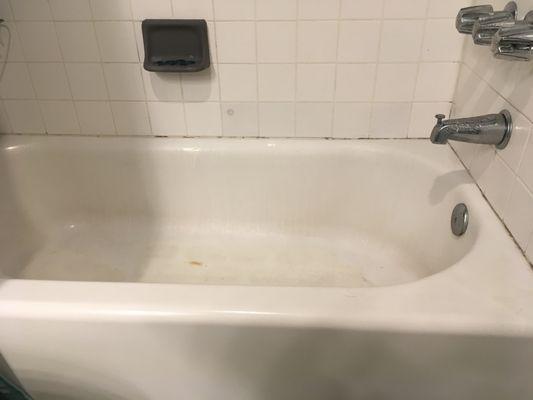 This was the before photo of our tub