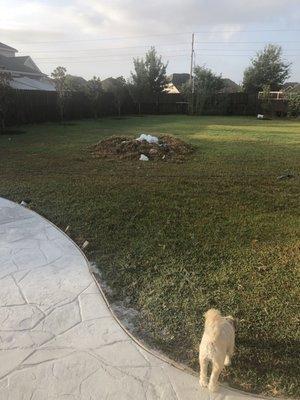 Pile of grass and concrete he never came to clean