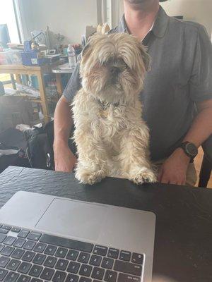 Snuggles the pup is always ready to help. #Kingsley_Tech_Consultants