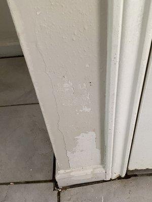 Paint after flood?