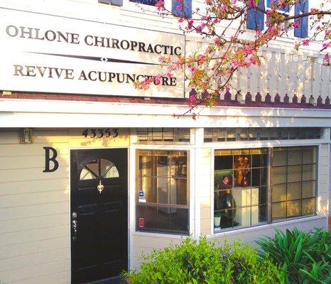 Ohlone Chiropractic