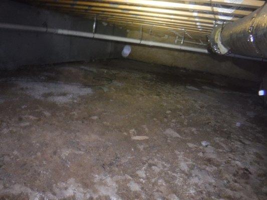 Moisture in crawl space