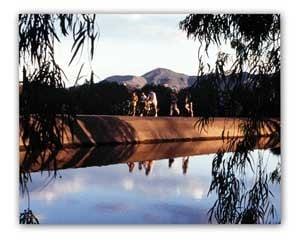 The Arizona Canal