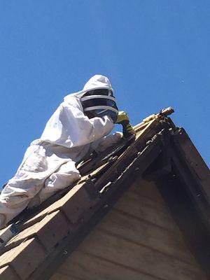 Working on the roof pitch