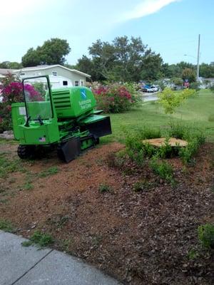 Stump grinder that has been sitting in my front yard for two days.