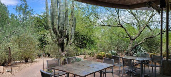 Outdoor patio view of the Botanic Garden