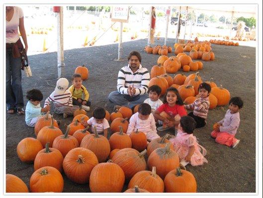 Pumpkin Patch Fun!