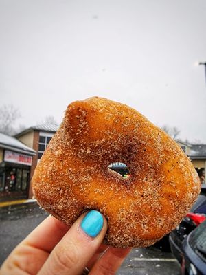 cinnamon sugar donut