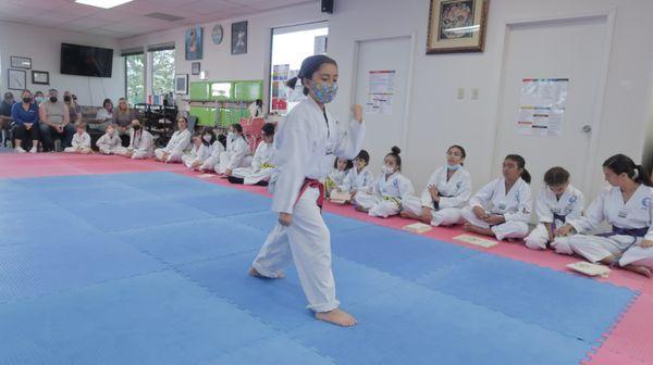 Golden rishi taekwondo