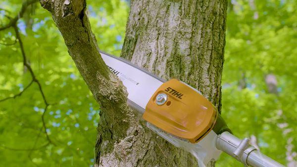 Tree Trimming