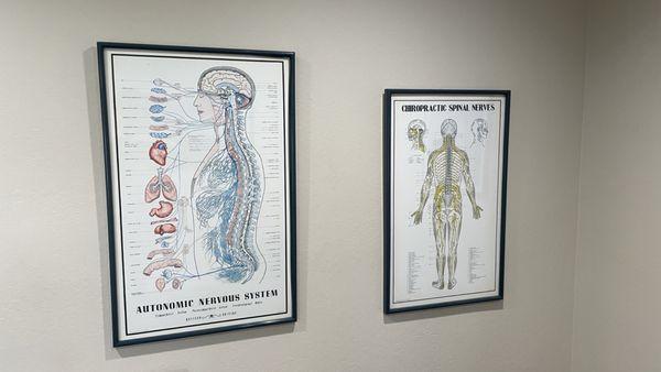 Katona Chiropractic