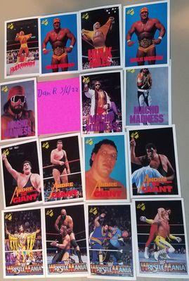 Thank you for buying my Hulk and Macho Man and Andre the Giant and Wrestlemania Highlight cards