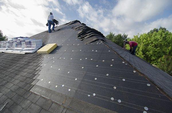 Laying down a 50 year shingle roof down.