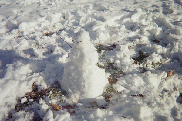 Film Photo -- Snowman