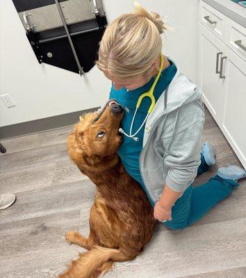 Our goal is to ensure your pets live healthy, happy lives through top-notch veterinary care, while also loving them like our own!