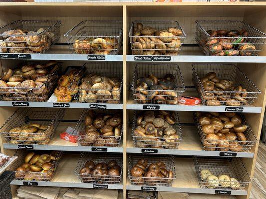 Look at all these delicious bagels.