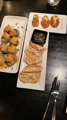 Spicy Tuna Crispy Rice, crab Rangoon Roll and Potstickers