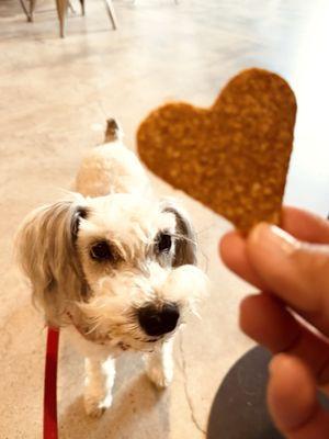 So dog friendly they even offered a soft treat vs the hard treat for my poor dog that only has 6 teeth!