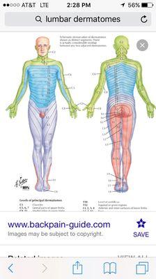 Nerve pain specialist