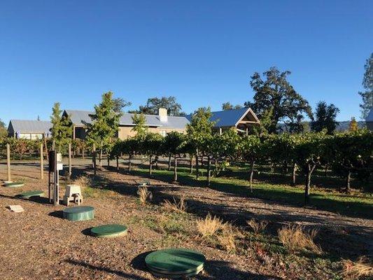 Hoot septic treatment system keeping everything clean at Artesa Winery in Napa California.