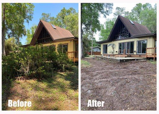 Removal of over grown azaleas for a new landscape.