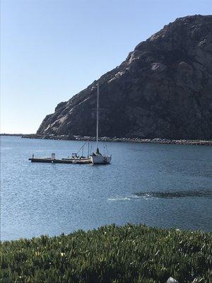 Scuba certification via SLO Ocean Currents at Morro Bay