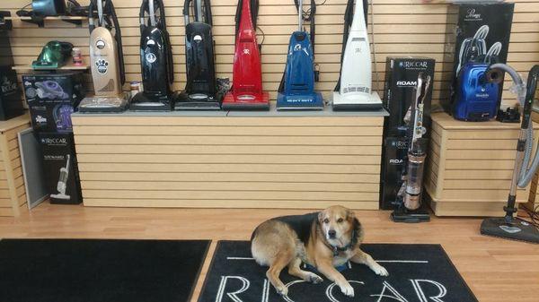 Are wonderful Riccar vacuums and Oso