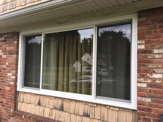 Library Room - Marvin Infinity Sliding/Gliding Side Windows with Picture Window in Middle