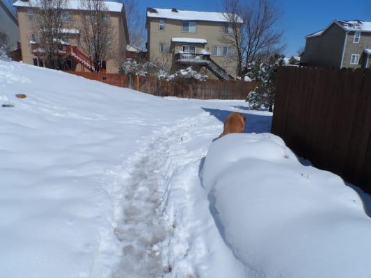 This is the lack of snow removal at Jasmine Estates 48 hours after snow ended March 2016.  Many residents in the community are elderly