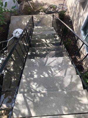 Algae Removal off steps