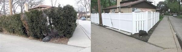 Before and After Fence