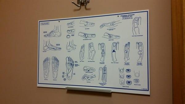 Foot chart