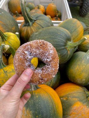 Sugar covered cider doughnut